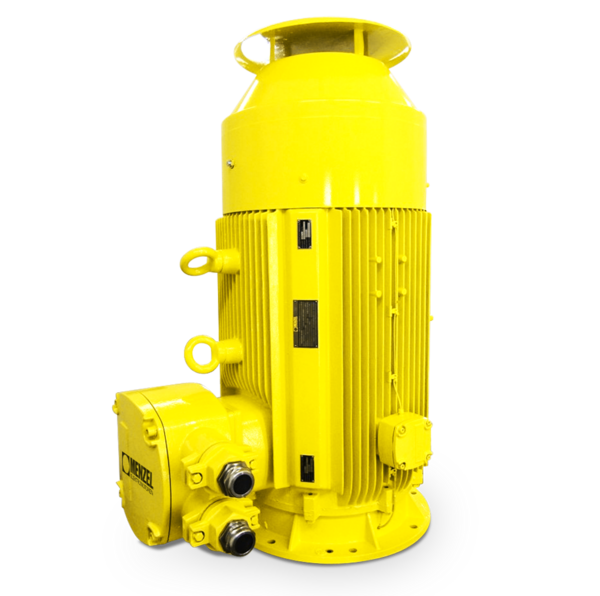 IP67 Motor vertikal IP67 Motor vertikal