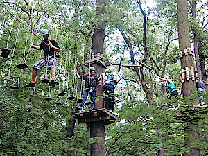 Staff outing at high ropes course