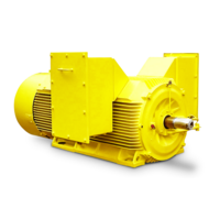 3-phase squirrel cage induction motors up to 13,800 V