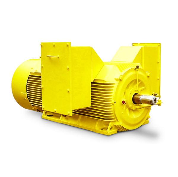 Squirrel cage motor Squirrel cage motor