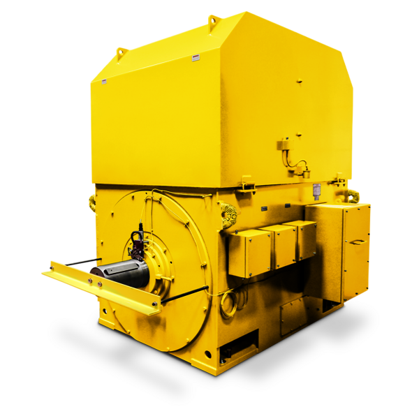 Squirrel cage induction motor Squirrel cage induction motor