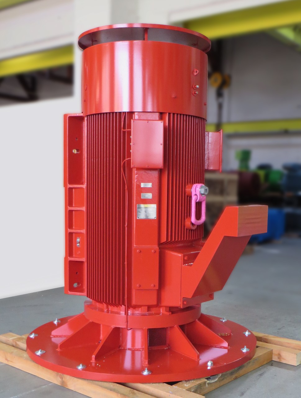 Special squirrel cage motor for pump drive application