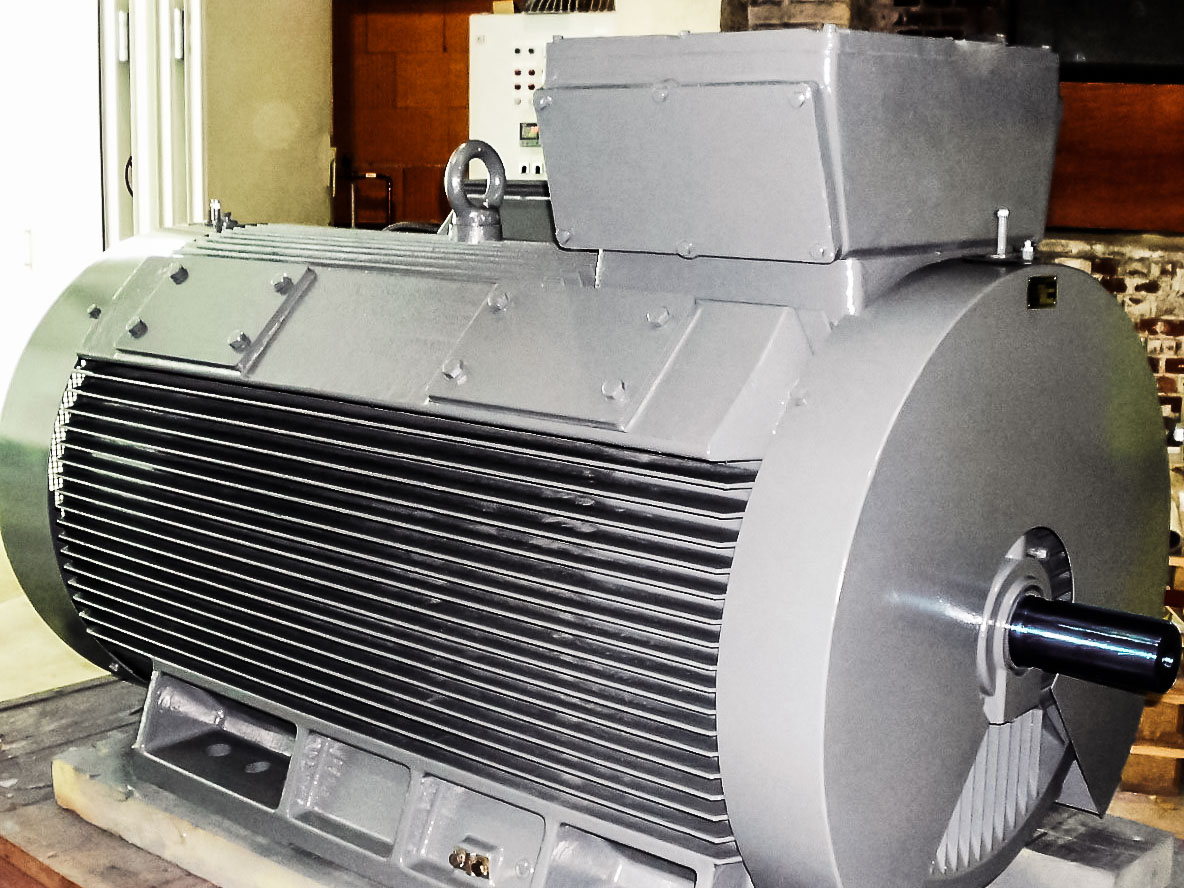 3phase squirrel cage induction motors up to 13,800 V