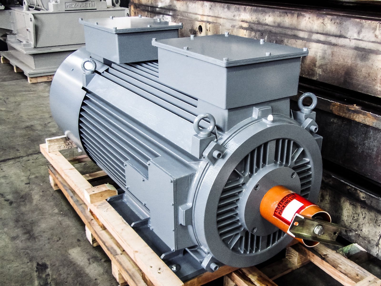 Crane duty motors 220 V to 690 V and 10 kW to 600 kW